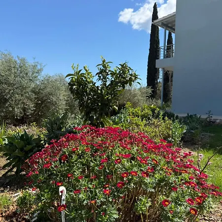 Apartmán Coralya Kato Korakiana