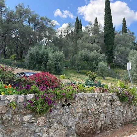 דירה Coralya