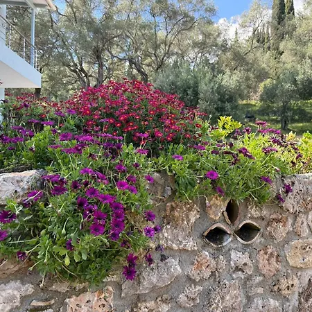 Coralya Apartment Kato Korakiana