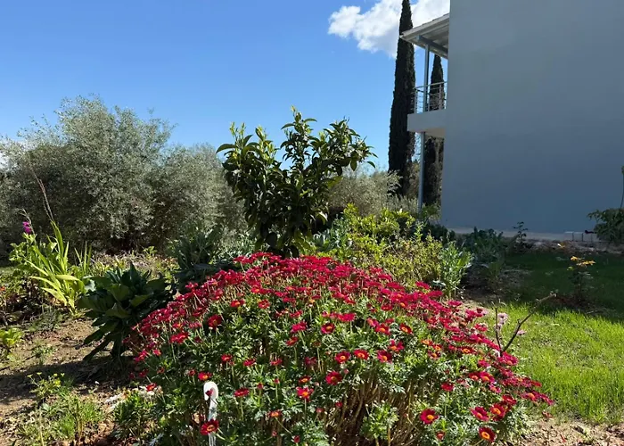 Apartment Coralya Kato Korakiana